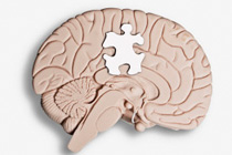 Image of Brain with a missing puzzle in the middle.