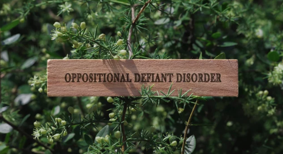 Oppositional Defiant Disorder written on wooden blank